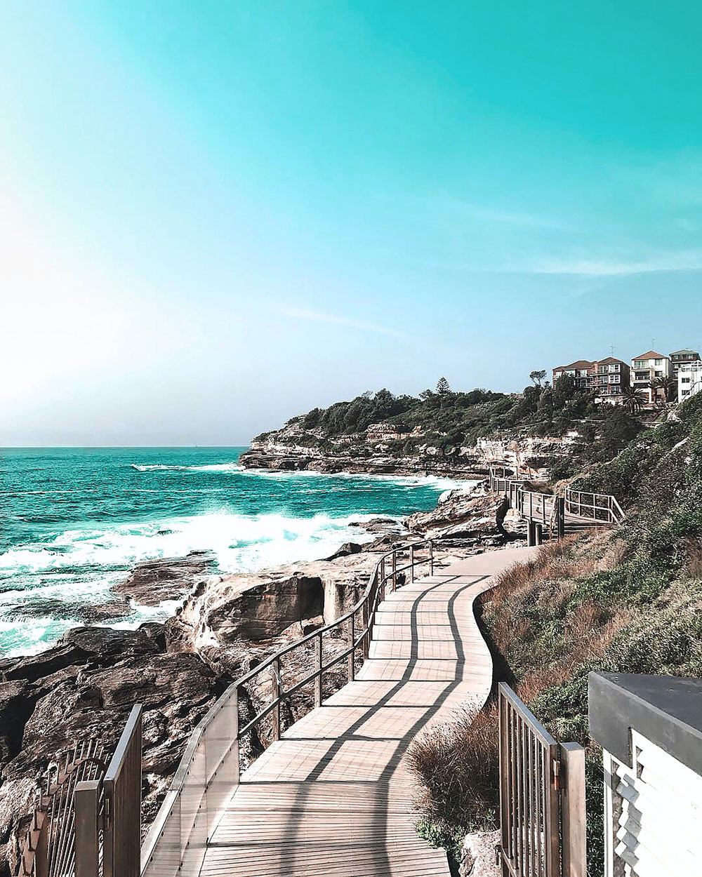 The coastal boardwalk