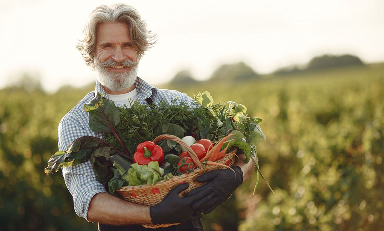 Tom holding a crate of vegetables from the garden