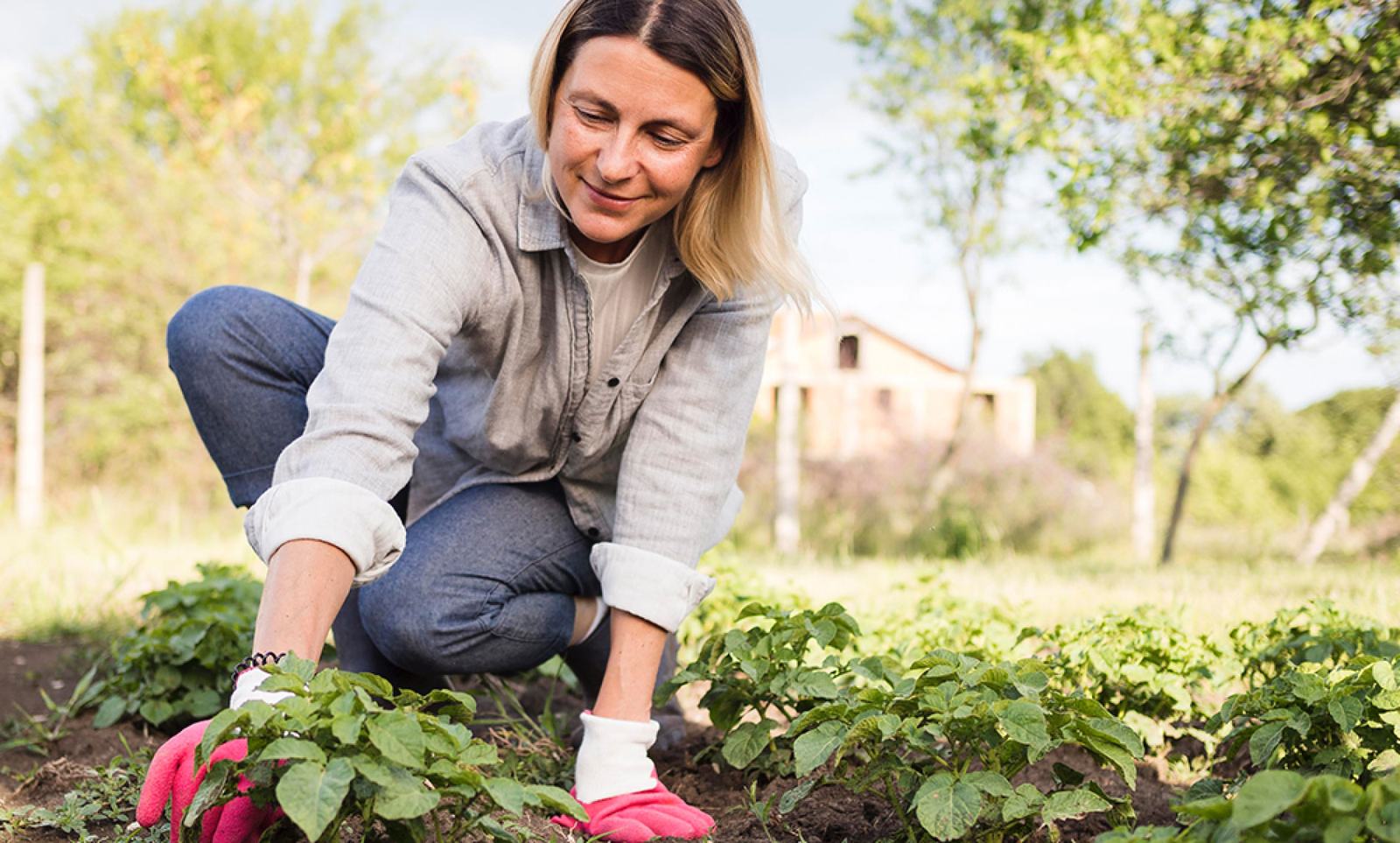 Elena planting seedlings in the kitchen garden